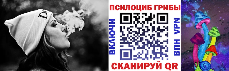 мориарти формула  Каменск-Шахтинский  Псилоцибиновые грибы Cubensis  хочу  