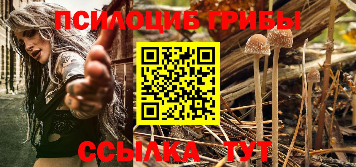Каменск-Шахтинский  Галлюциногенные грибы ЛСД  Вход с VPN 